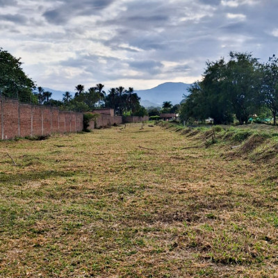 Freddy Andres Chavez