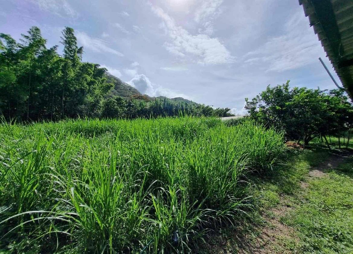 Venta de Finca en el Dovio - Imagen 4