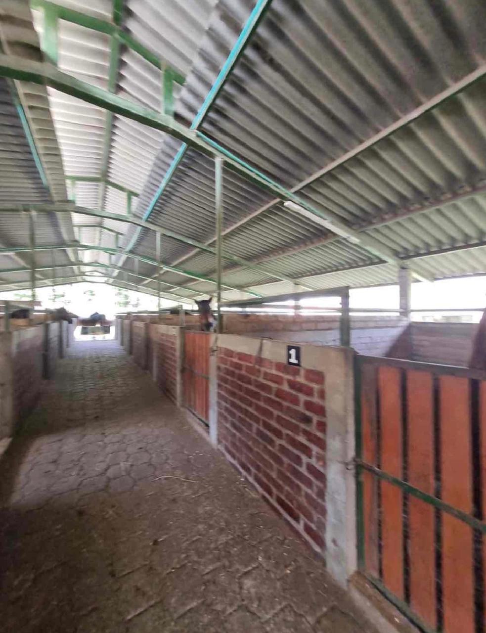 Venta de Finca en el Dovio - Imagen 23