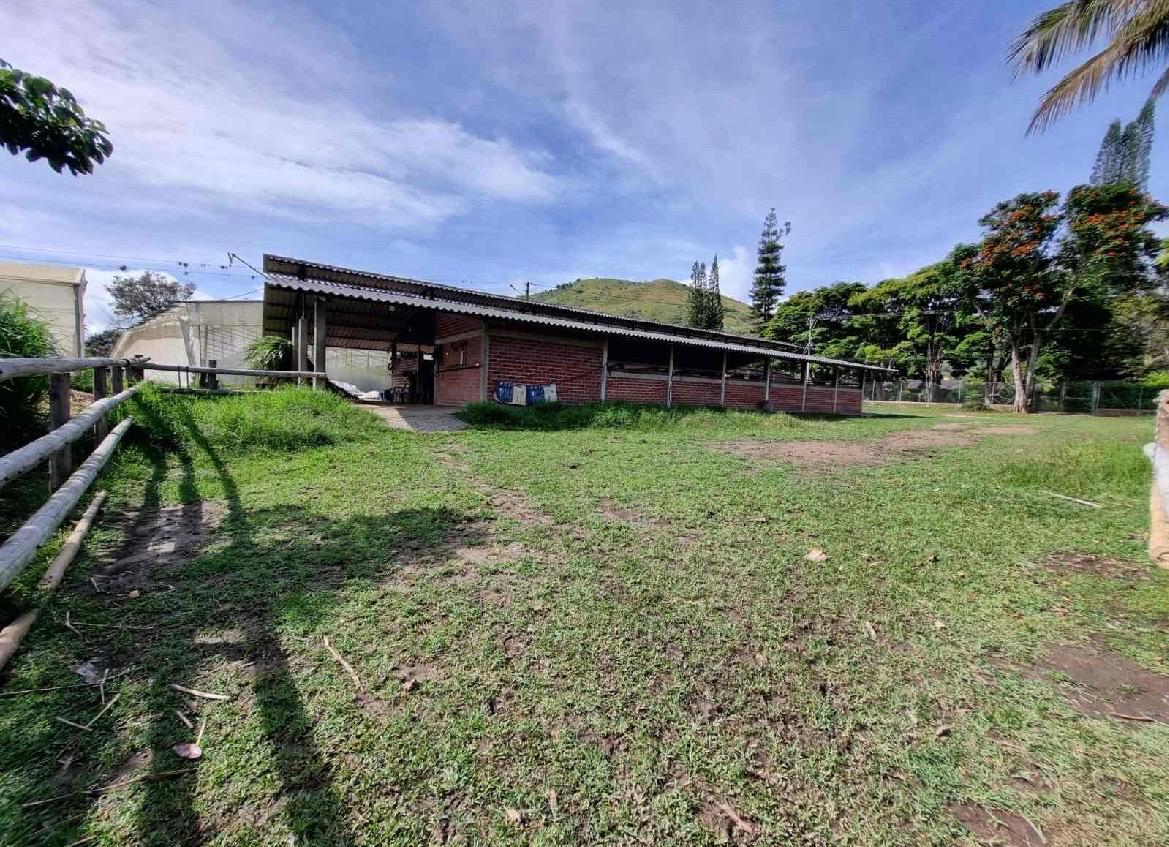 Venta de Finca en el Dovio - Imagen 25