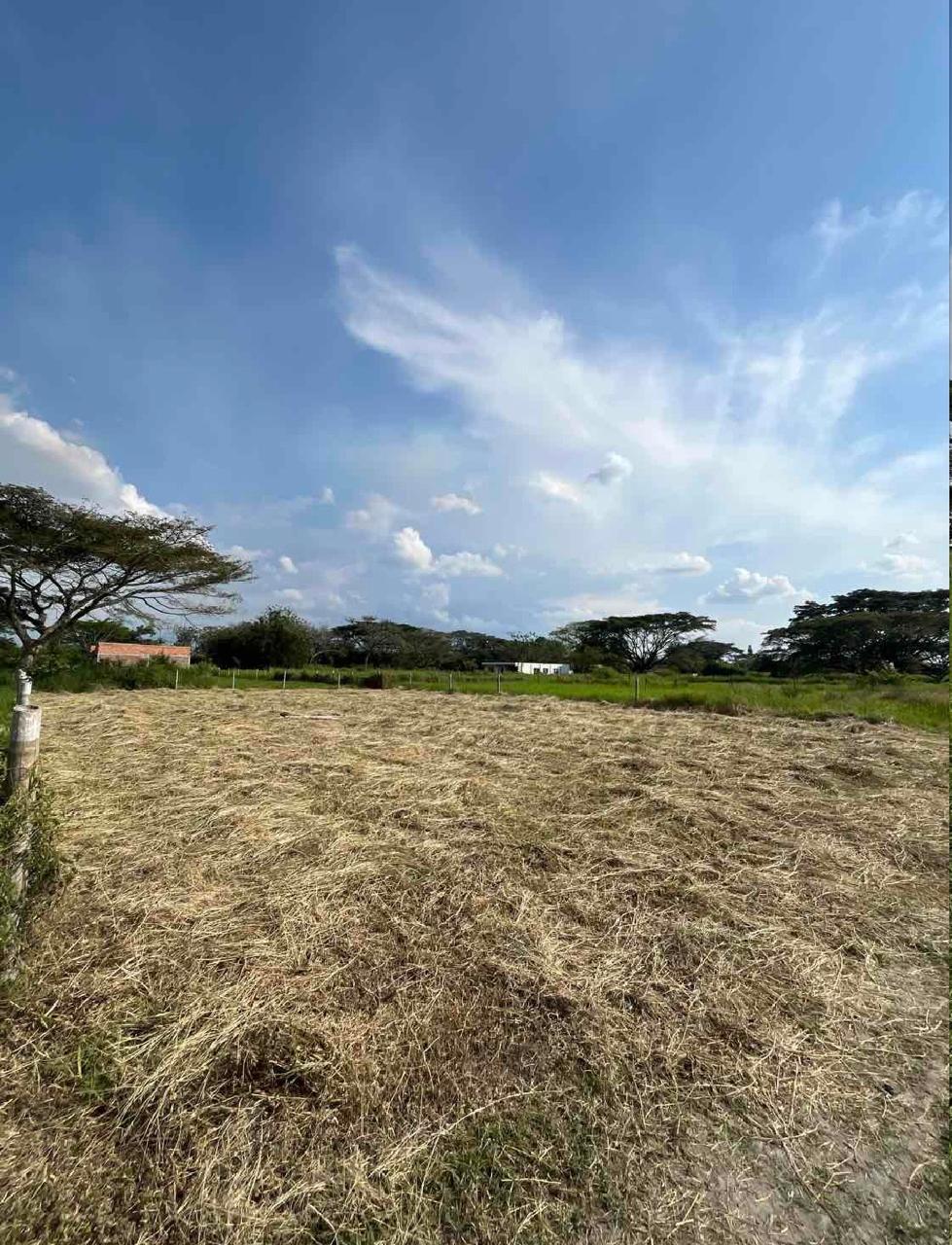 venta de lote campestre en Nariño valle parcelación campestre palma real