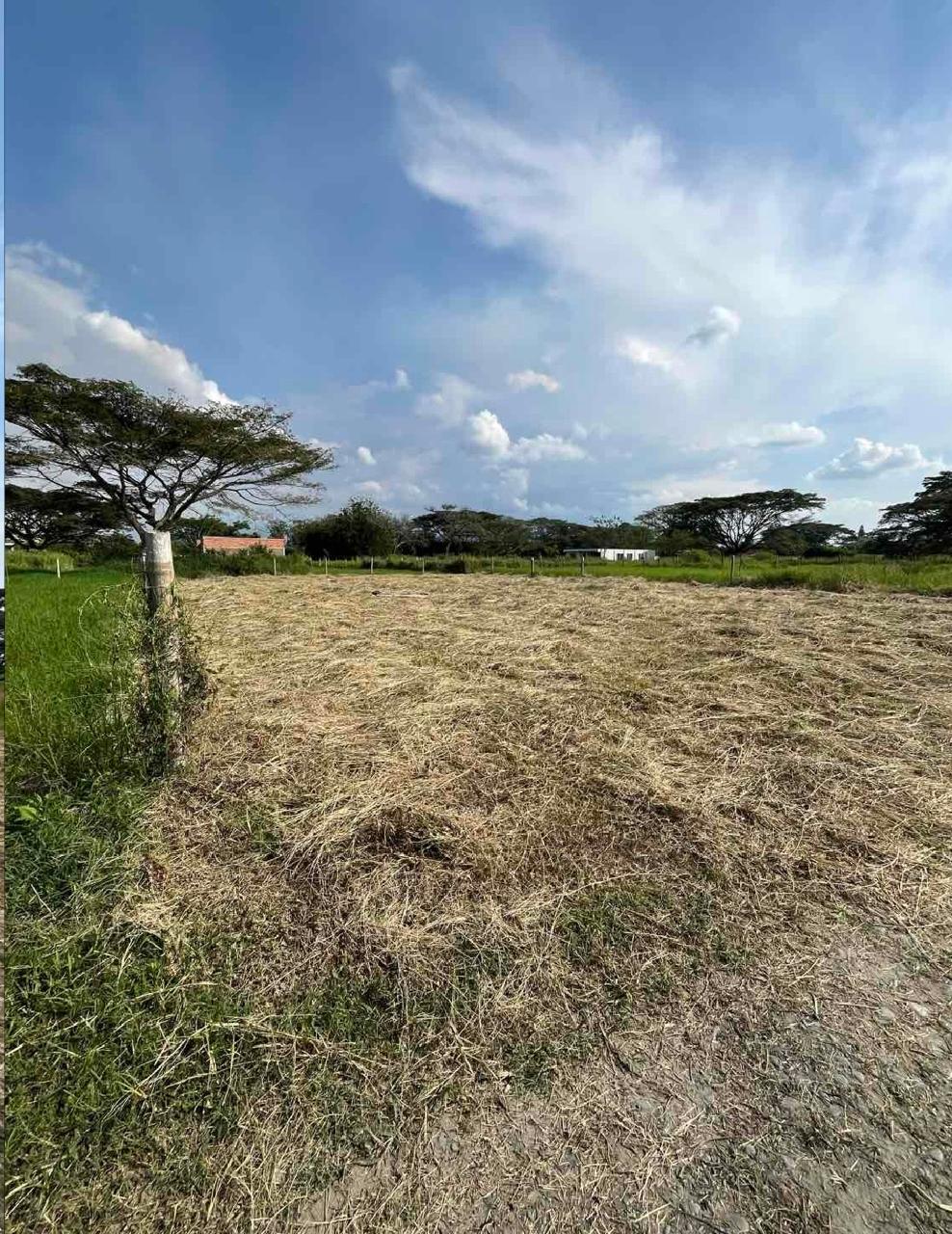 venta de lote campestre en Nariño valle parcelación campestre palma real - Imagen 2
