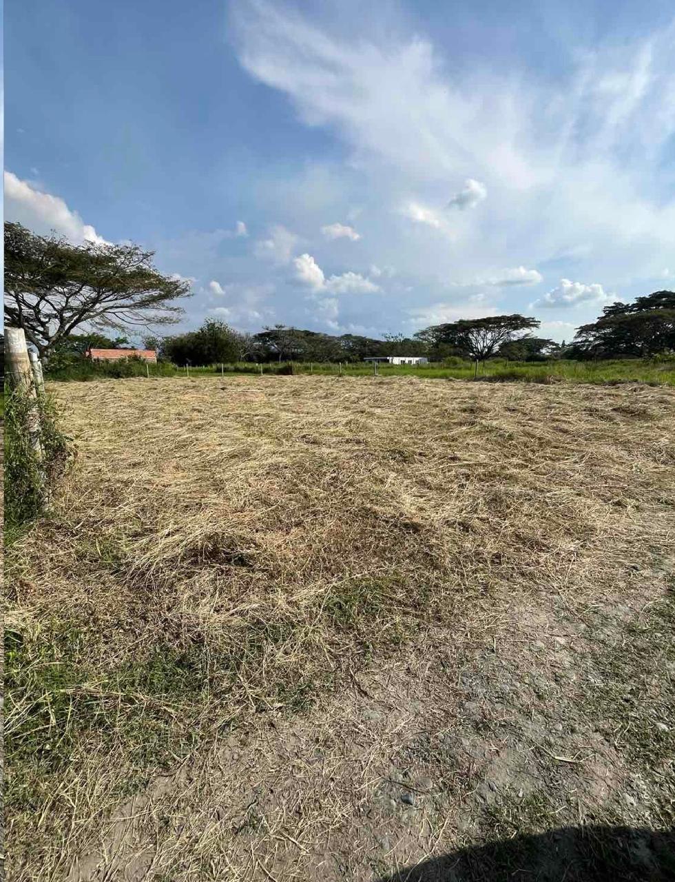 venta de lote campestre en Nariño valle parcelación campestre palma real - Imagen 3