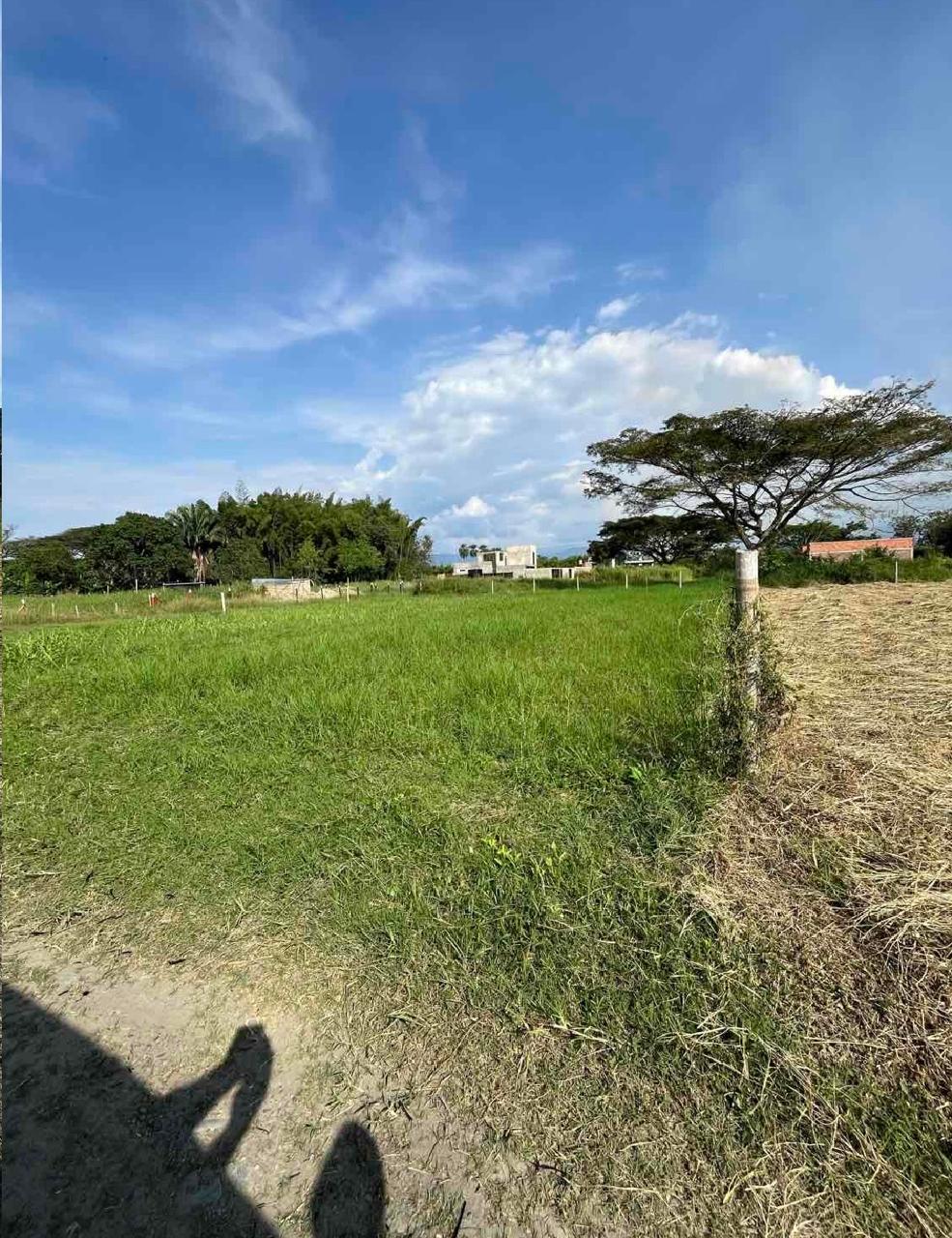 venta de lote campestre en Nariño valle parcelación campestre palma real - Imagen 4