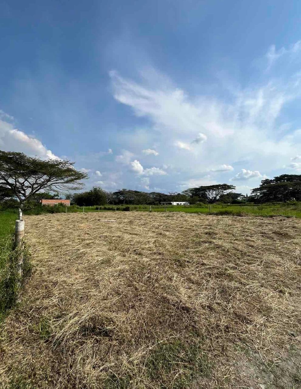 venta de lote campestre en Nariño valle parcelación campestre palma real - Imagen 5