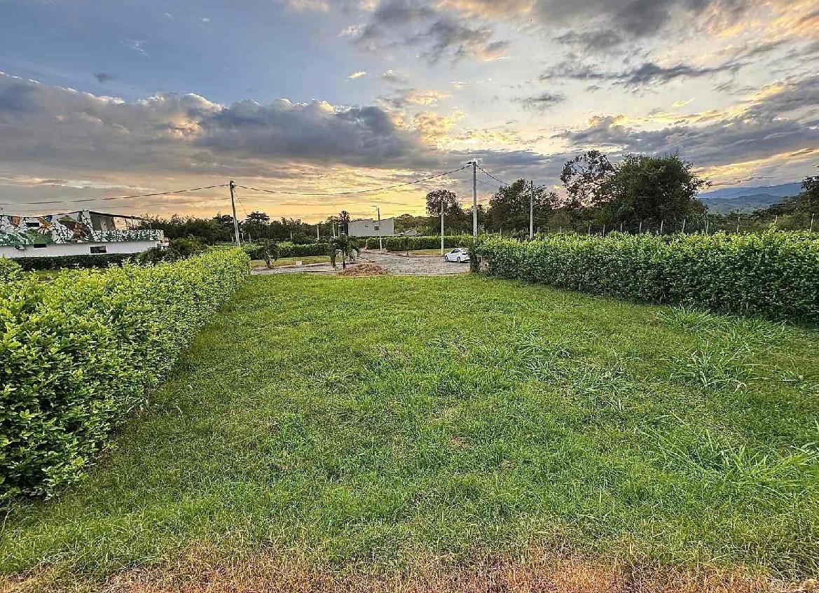 venta de lote campestre en San Pedro valle corregimiento san jose - Imagen 2