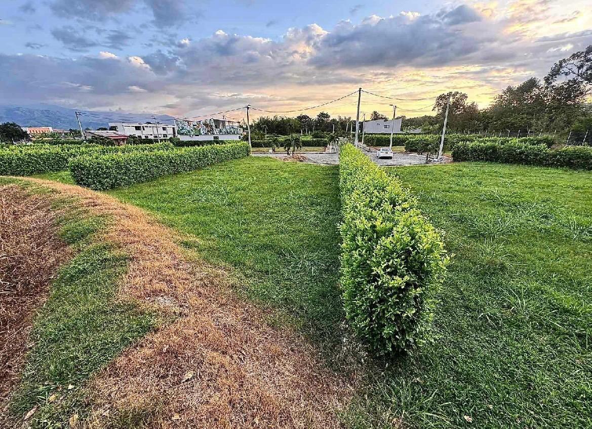 venta de lote campestre en San Pedro valle corregimiento san jose - Imagen 3