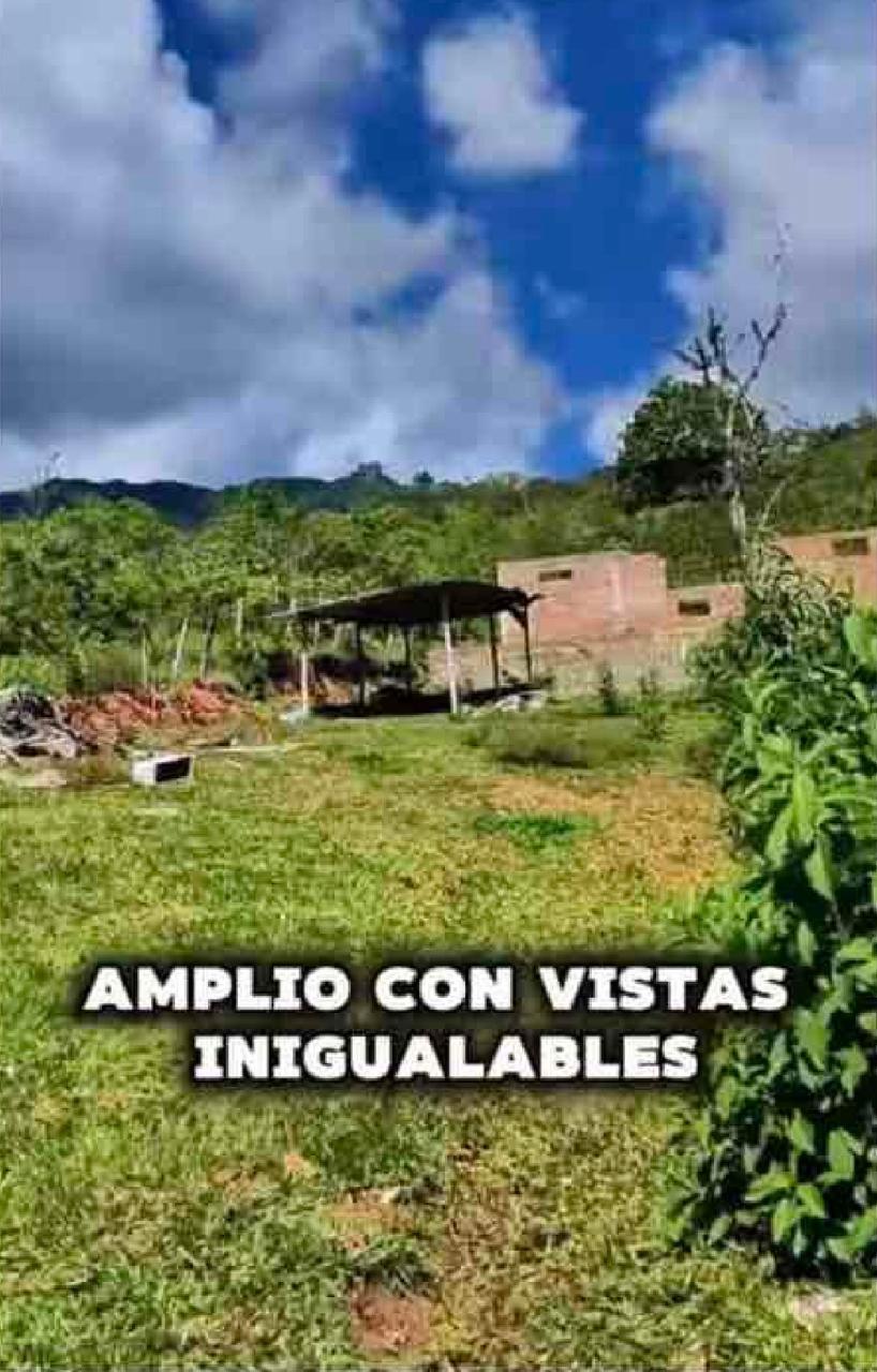VENTA DE LOTE PARAJE DE PORTUGAL DE PIEDRAS, CORREGIMIENTO DE FENICIA, AREA RURAL DEL MUNICIPIO DE RIOFRIO. - Imagen 3