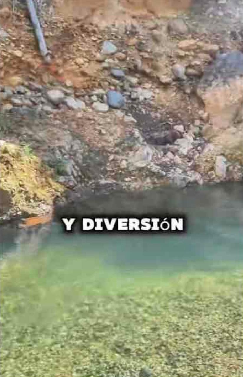 VENTA DE LOTE PARAJE DE PORTUGAL DE PIEDRAS, CORREGIMIENTO DE FENICIA, AREA RURAL DEL MUNICIPIO DE RIOFRIO. - Imagen 5