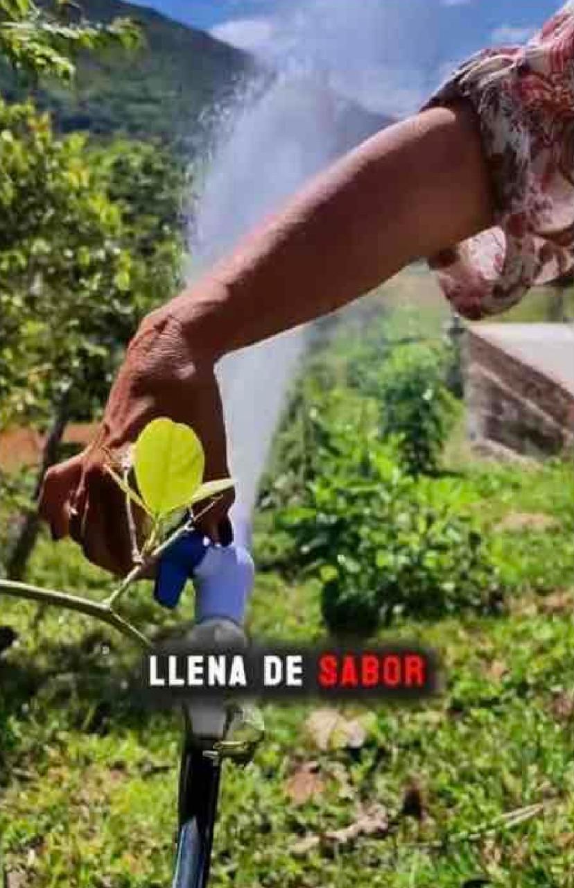 VENTA DE LOTE PARAJE DE PORTUGAL DE PIEDRAS, CORREGIMIENTO DE FENICIA, AREA RURAL DEL MUNICIPIO DE RIOFRIO. - Imagen 6