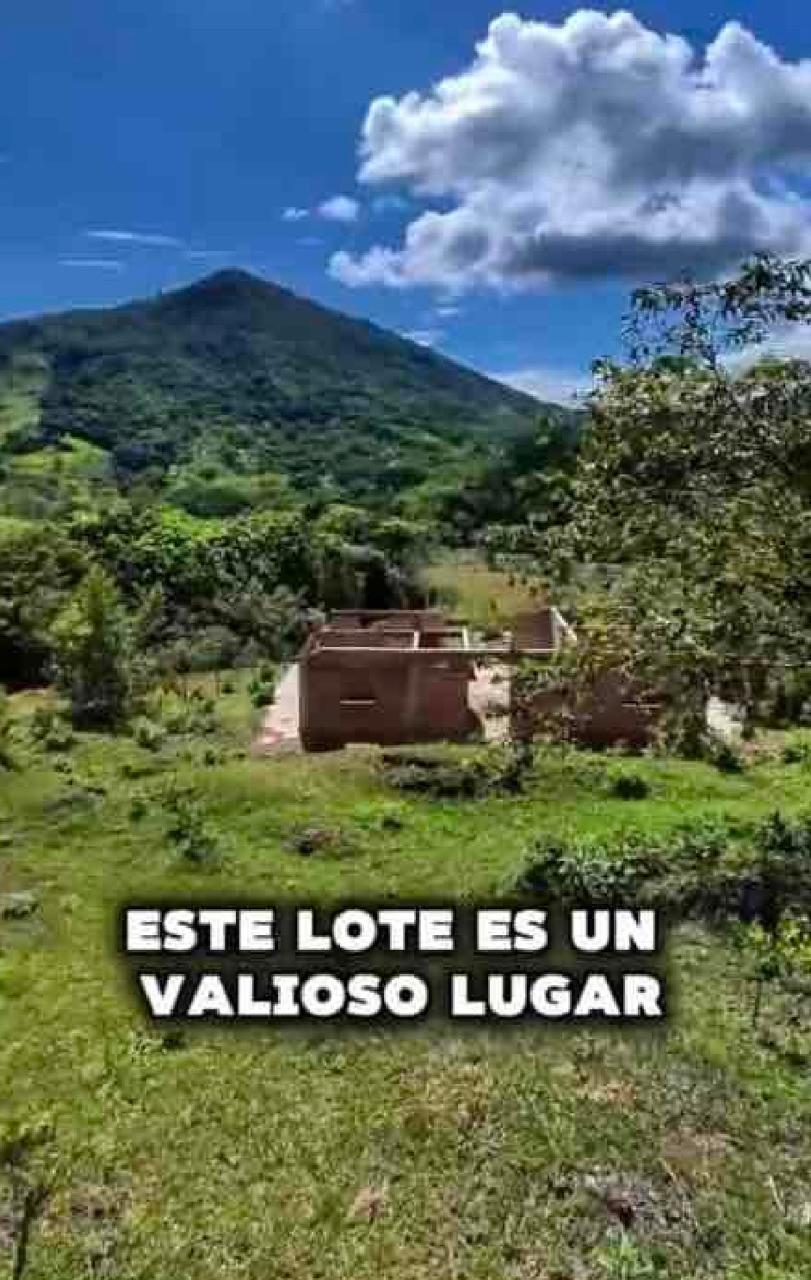 VENTA DE LOTE PARAJE DE PORTUGAL DE PIEDRAS, CORREGIMIENTO DE FENICIA, AREA RURAL DEL MUNICIPIO DE RIOFRIO. - Imagen 7