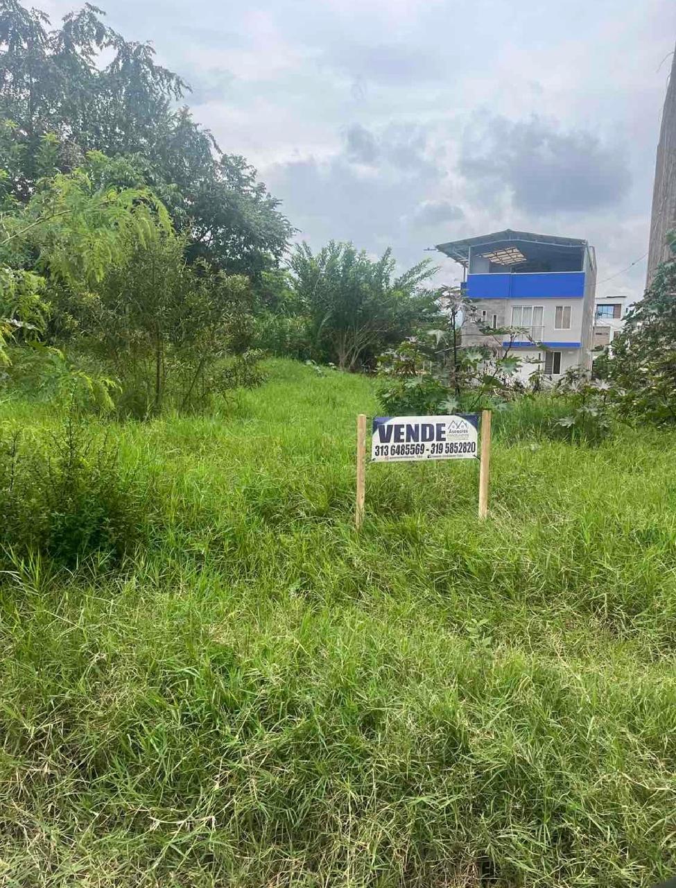 venta de lote en Tuluá valle barrio Brisas de Morales esquina