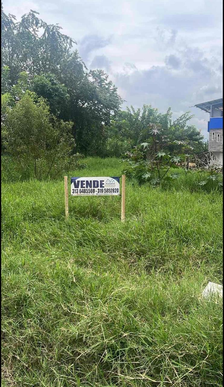 venta de lote en Tuluá valle barrio Brisas de Morales esquina - Imagen 5