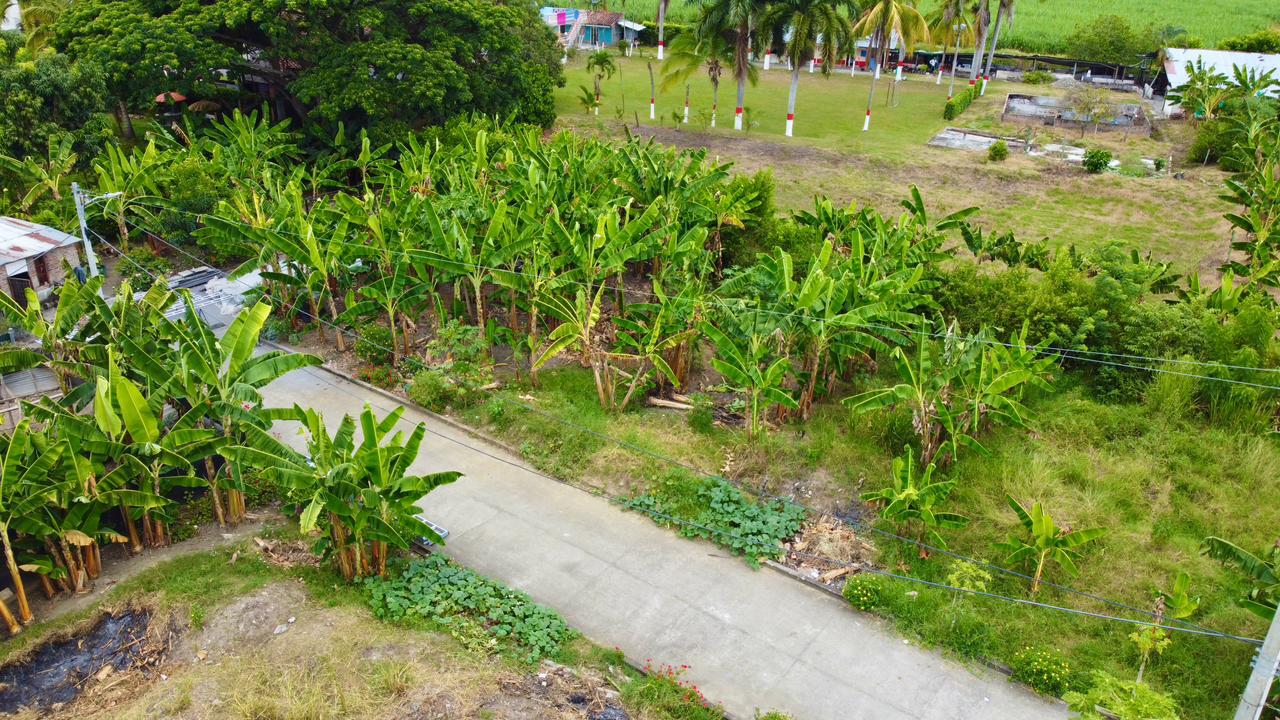 Venta de Lotes campestres en Tulua Valle Corregimiento de Nariño - Imagen 8