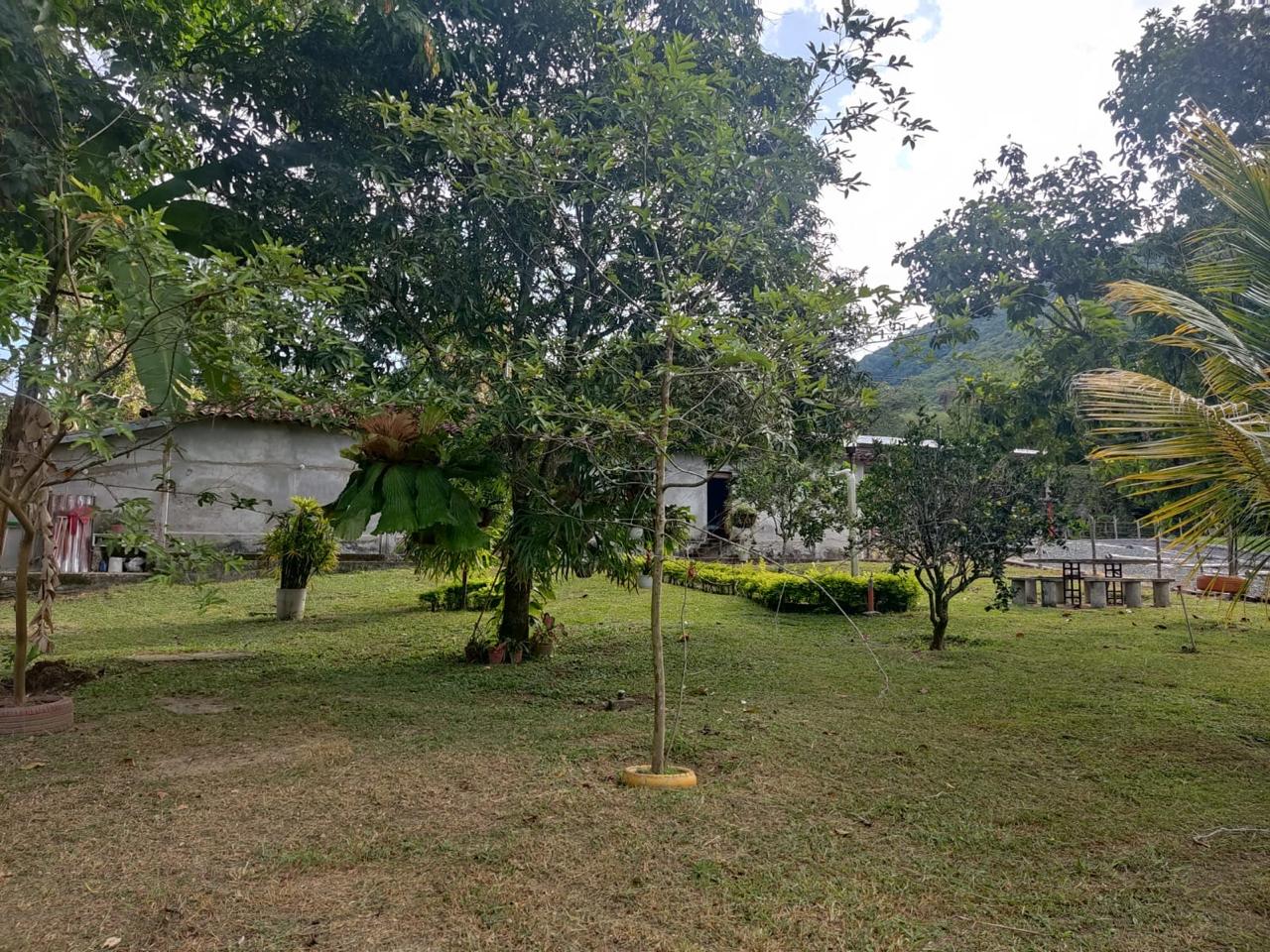 Venta de Casa Campestre en Tuluá valle, corregimiento de mateguadua - Imagen 11