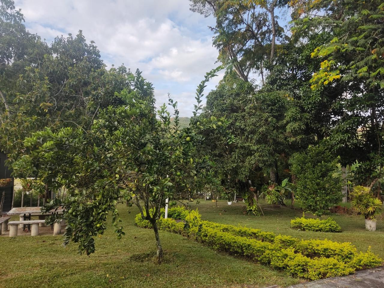 Venta de Casa Campestre en Tuluá valle, corregimiento de mateguadua - Imagen 12