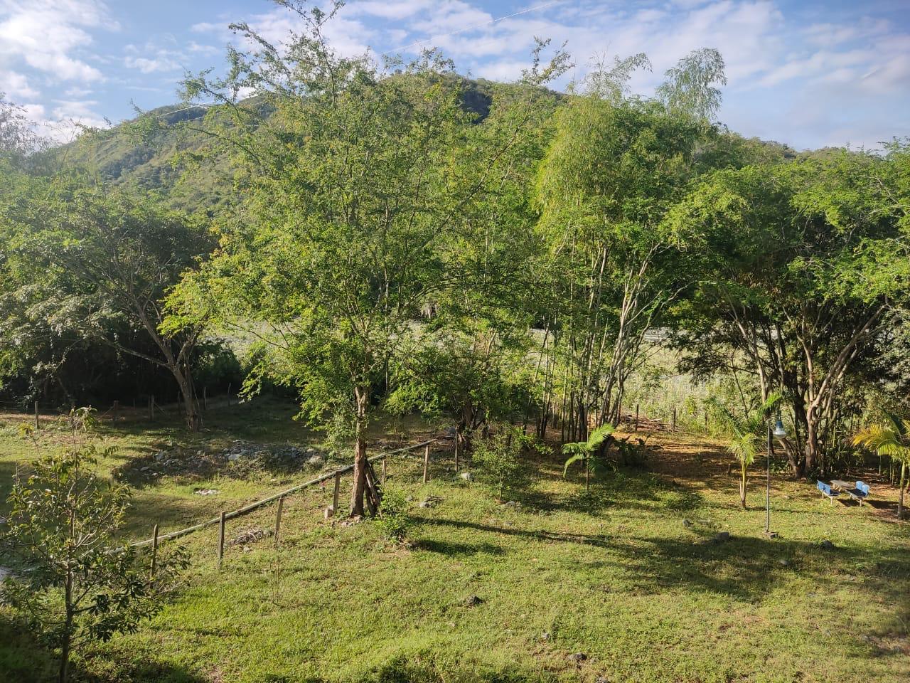 Venta de Casa Campestre en Tuluá valle, corregimiento de mateguadua - Imagen 18