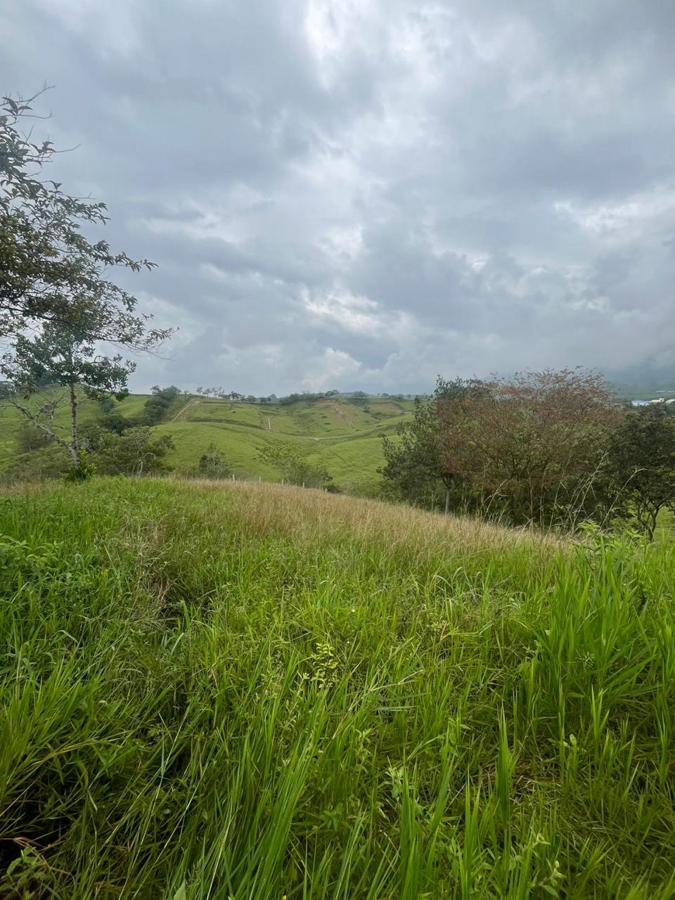 Venta de Lote en Tuluá, Valle del Cauca corregimiento la Iberia
