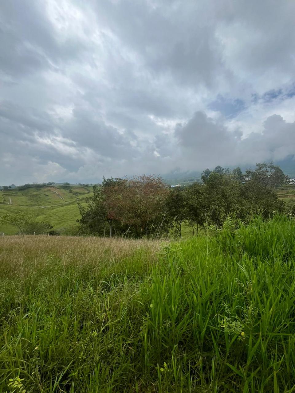 Venta de Lote en Tuluá, Valle del Cauca corregimiento la Iberia - Imagen 2