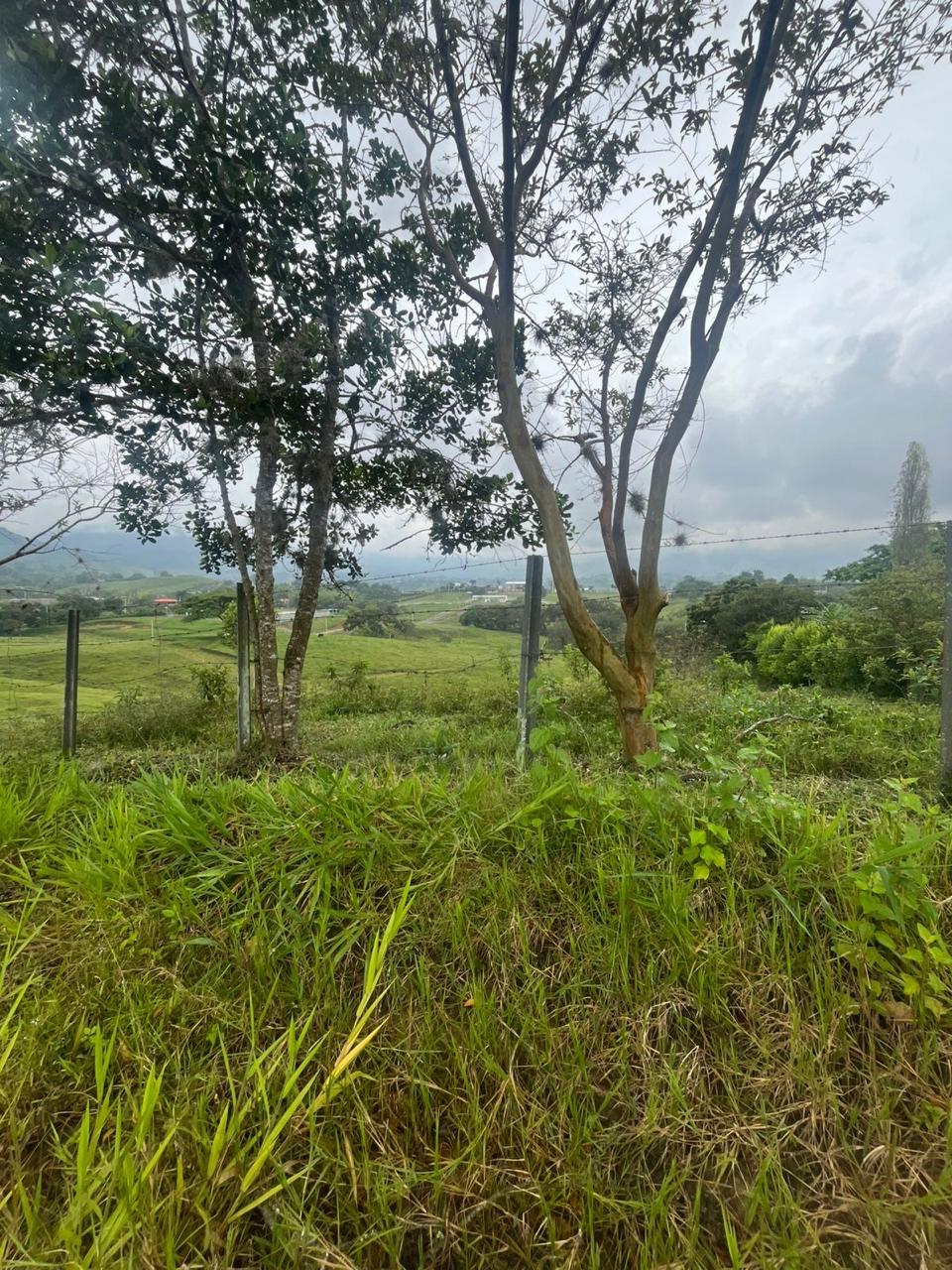 Venta de Lote en Tuluá, Valle del Cauca corregimiento la Iberia - Imagen 3