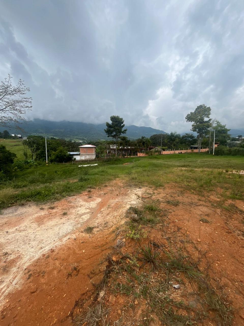 Venta de Lote en Tuluá, Valle del Cauca corregimiento la Iberia - Imagen 19