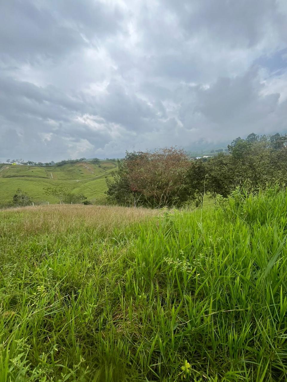 Venta de Lote en Tuluá, Valle del Cauca corregimiento la Iberia - Imagen 4