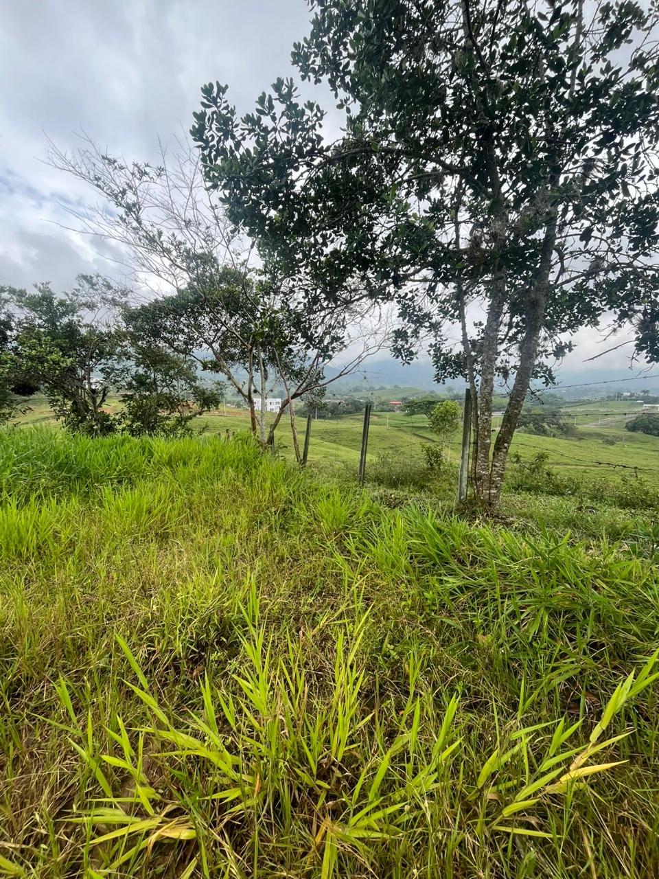 Venta de Lote en Tuluá, Valle del Cauca corregimiento la Iberia - Imagen 6