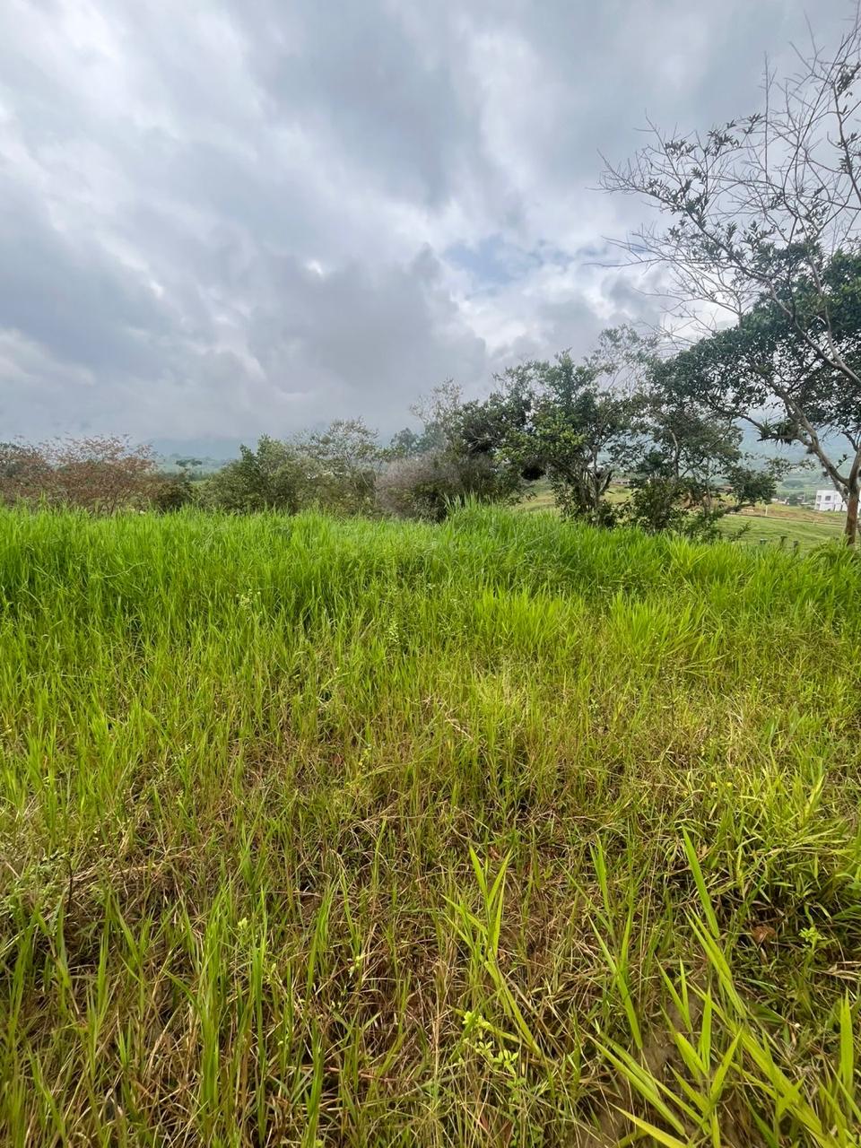 Venta de Lote en Tuluá, Valle del Cauca corregimiento la Iberia - Imagen 7