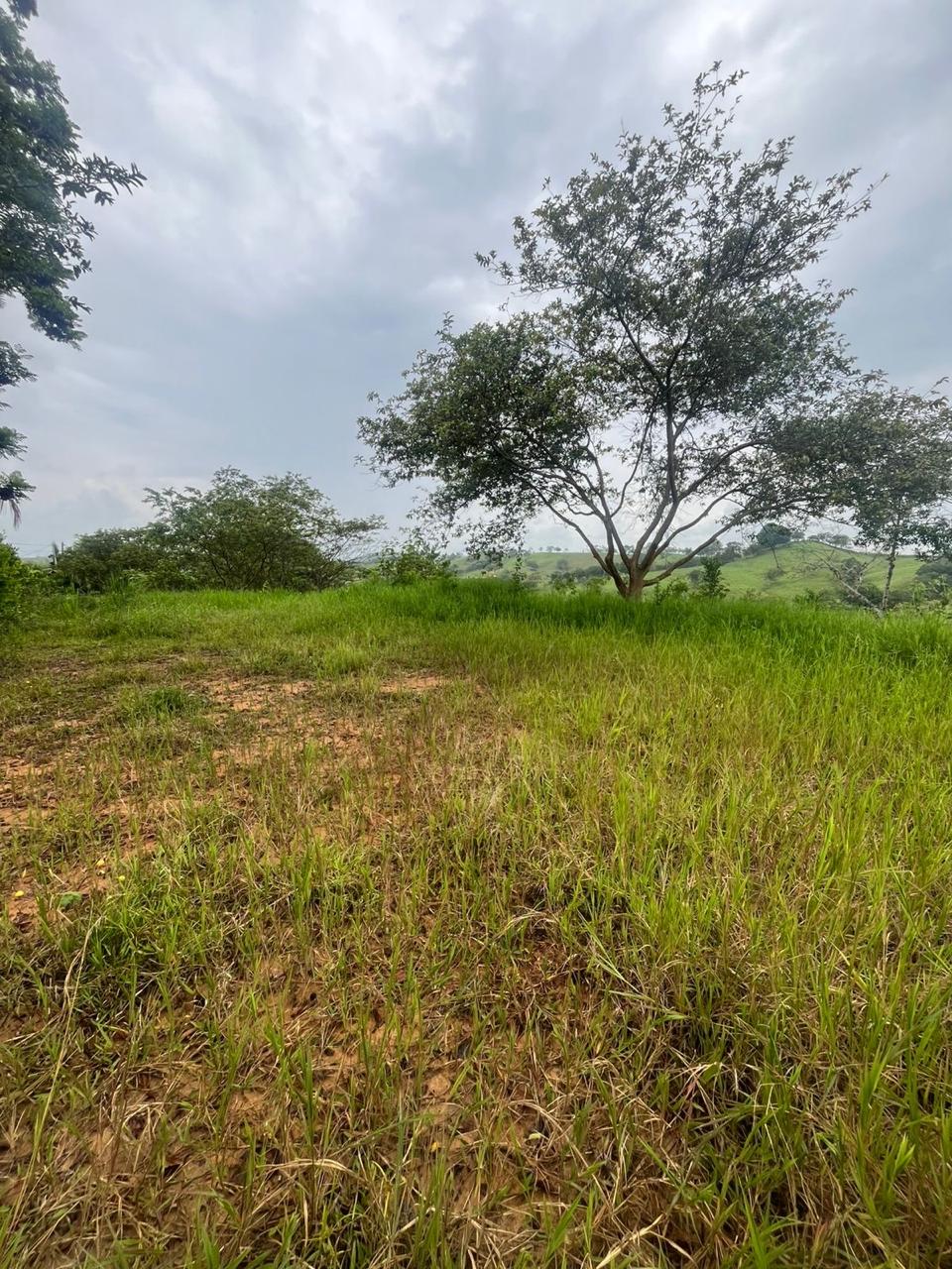 Venta de Lote en Tuluá, Valle del Cauca corregimiento la Iberia - Imagen 8
