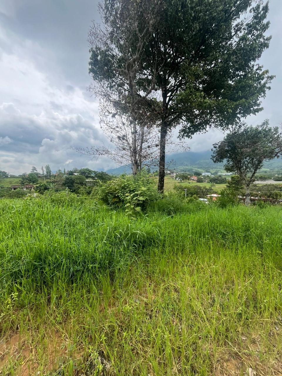 Venta de Lote en Tuluá, Valle del Cauca corregimiento la Iberia - Imagen 22