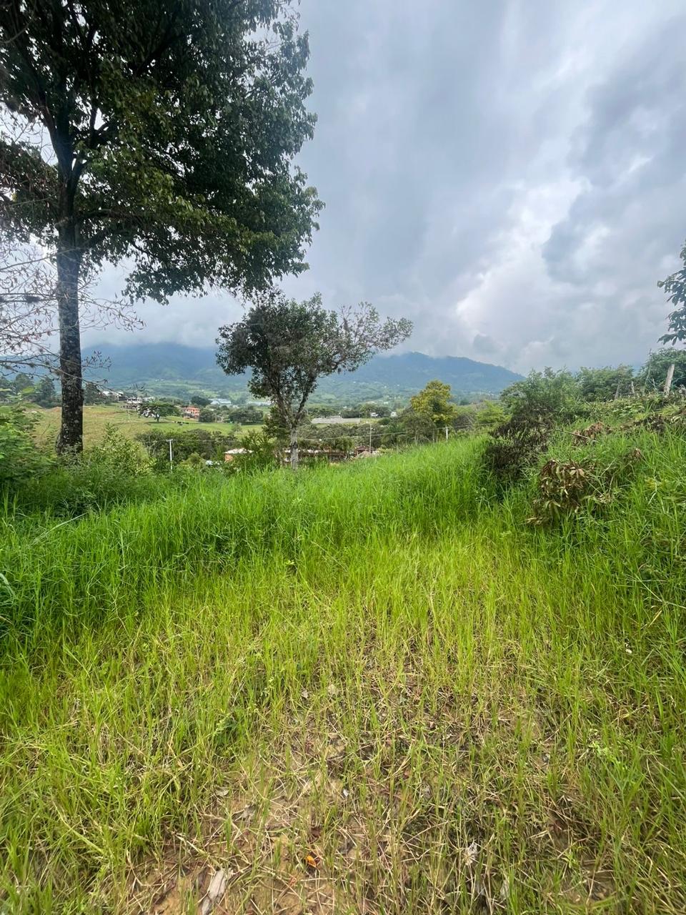 Venta de Lote en Tuluá, Valle del Cauca corregimiento la Iberia - Imagen 24