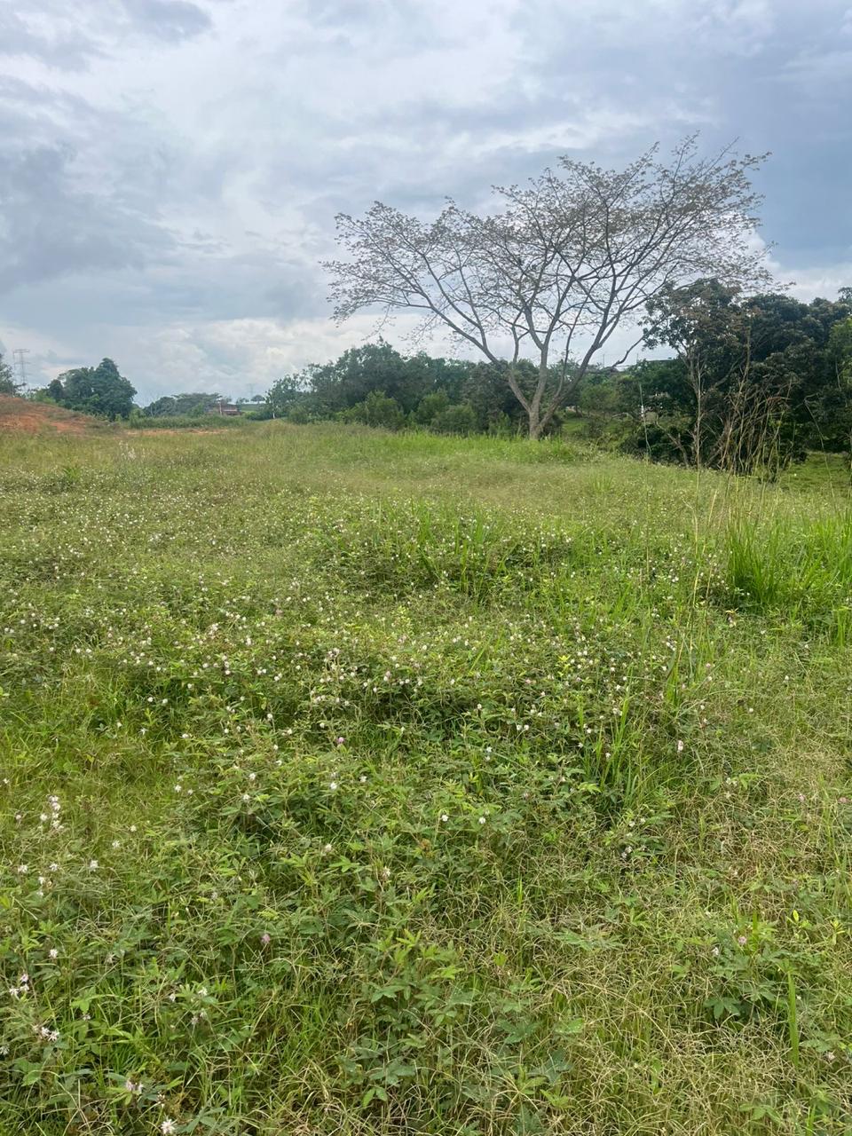 Venta de Lote en Tuluá, Valle del Cauca corregimiento la Iberia - Imagen 27