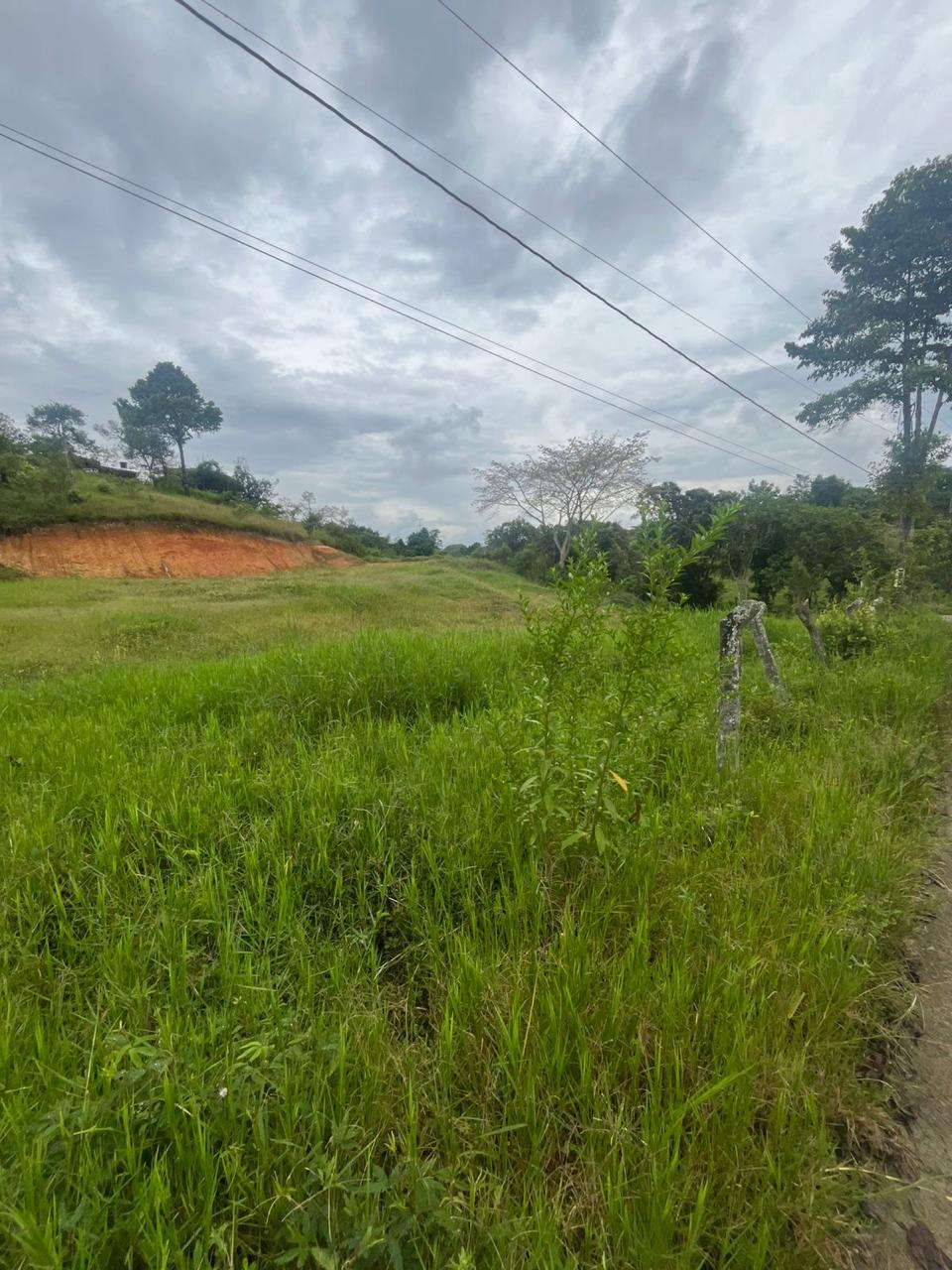 Venta de Lote en Tuluá, Valle del Cauca corregimiento la Iberia - Imagen 28