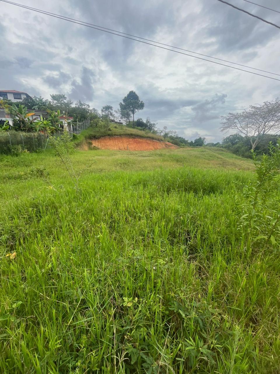 Venta de Lote en Tuluá, Valle del Cauca corregimiento la Iberia - Imagen 29