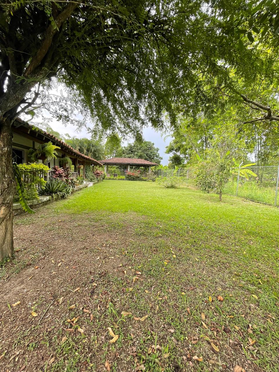 Venta de casa campestre en Andalucía, valle de Cauca, vereda campoalegre - Imagen 33