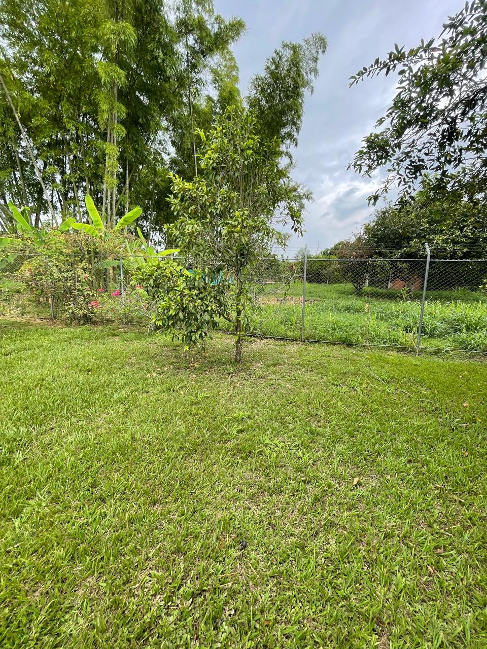 Venta de casa campestre en Andalucía, valle de Cauca, vereda campoalegre - Imagen 52