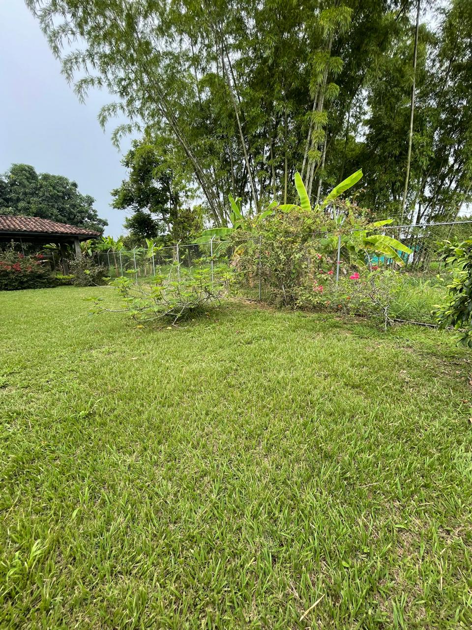 Venta de casa campestre en Andalucía, valle de Cauca, vereda campoalegre - Imagen 54