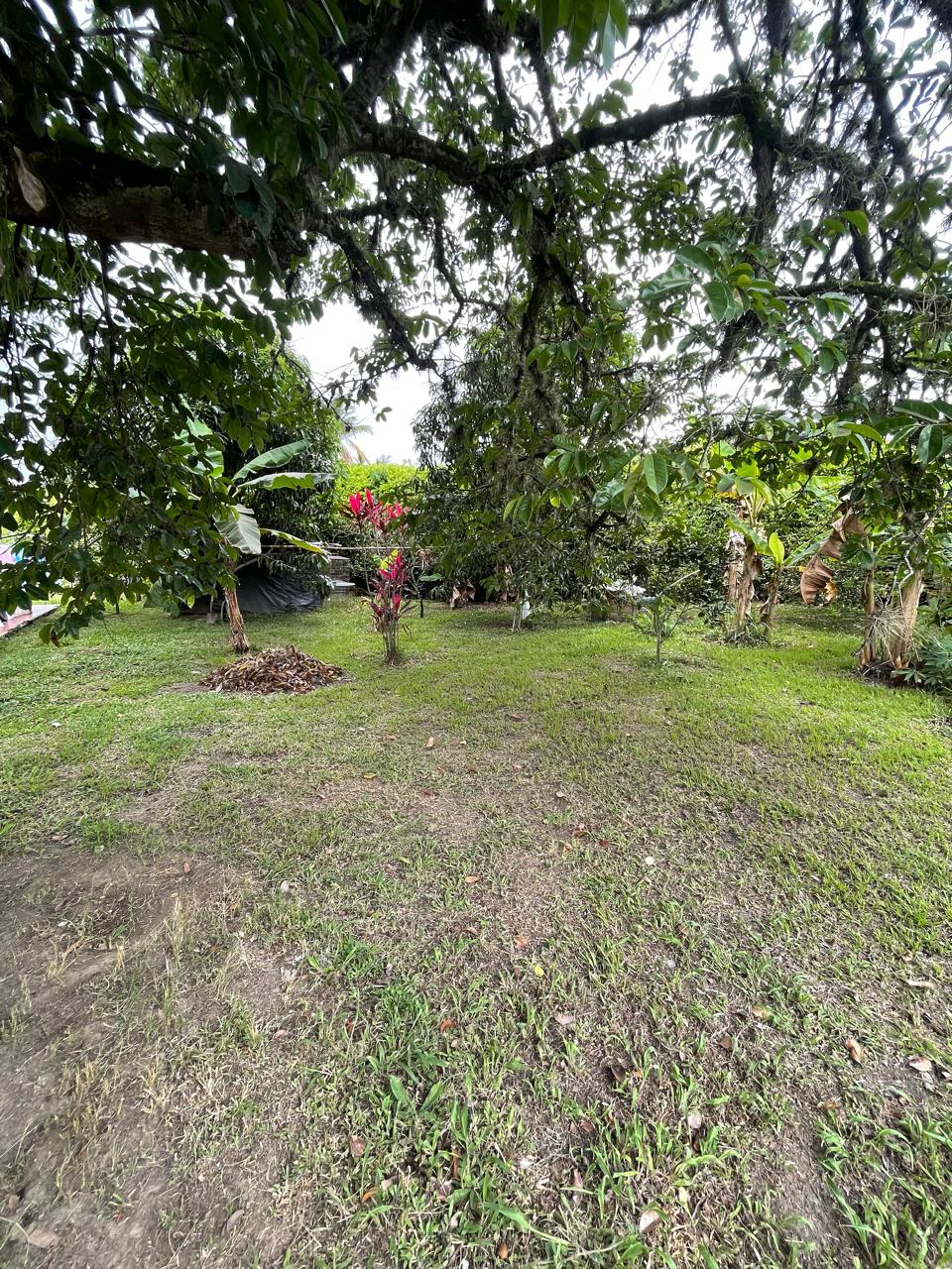 Venta de casa campestre en Andalucía, valle de Cauca, vereda campoalegre - Imagen 56