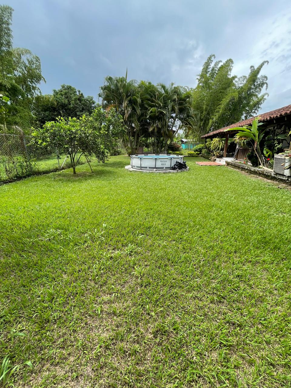 Venta de casa campestre en Andalucía, valle de Cauca, vereda campoalegre - Imagen 59