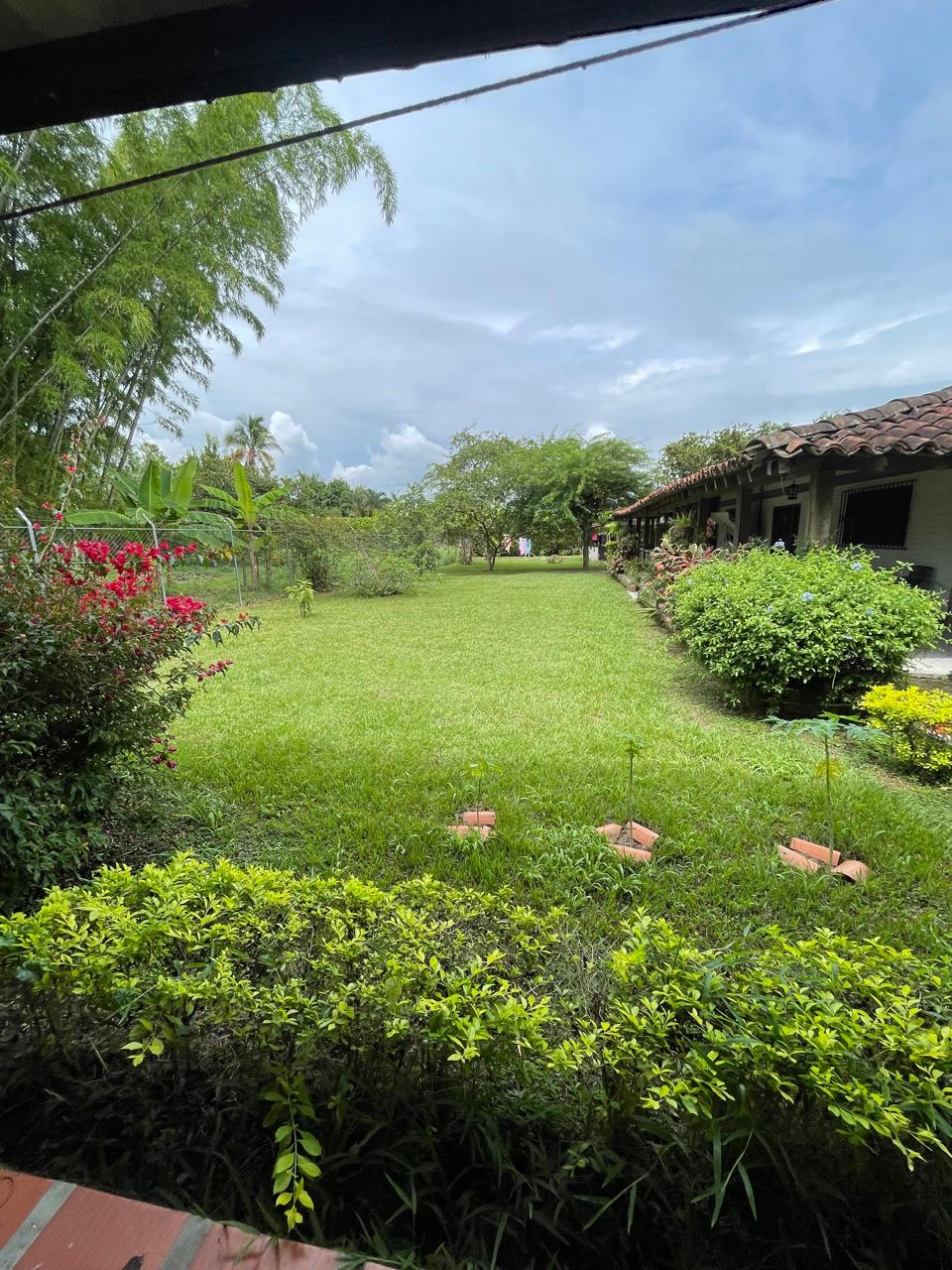 Venta de casa campestre en Andalucía, valle de Cauca, vereda campoalegre - Imagen 62