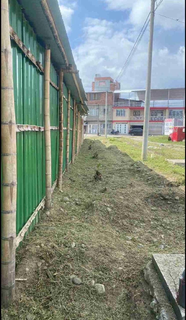 venta de planta de reciclaje en tulua valle barrio aguaclara - Imagen 4
