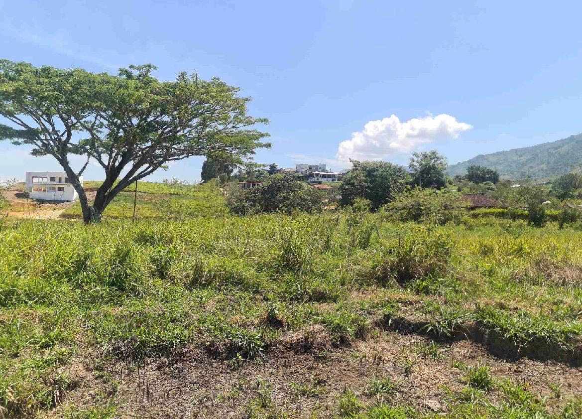 Venta de lotes campestres en Tuluá Corregimiento de La Iberia Valle del Cauca - Imagen 2