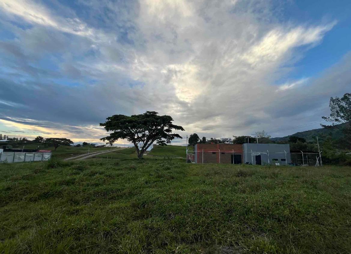 Venta de lotes campestres en Tuluá Corregimiento de La Iberia Valle del Cauca - Imagen 11