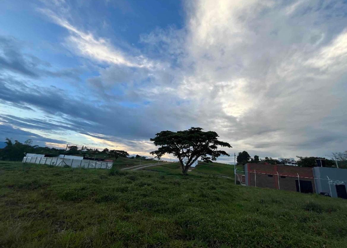 Venta de lotes campestres en Tuluá Corregimiento de La Iberia Valle del Cauca - Imagen 13