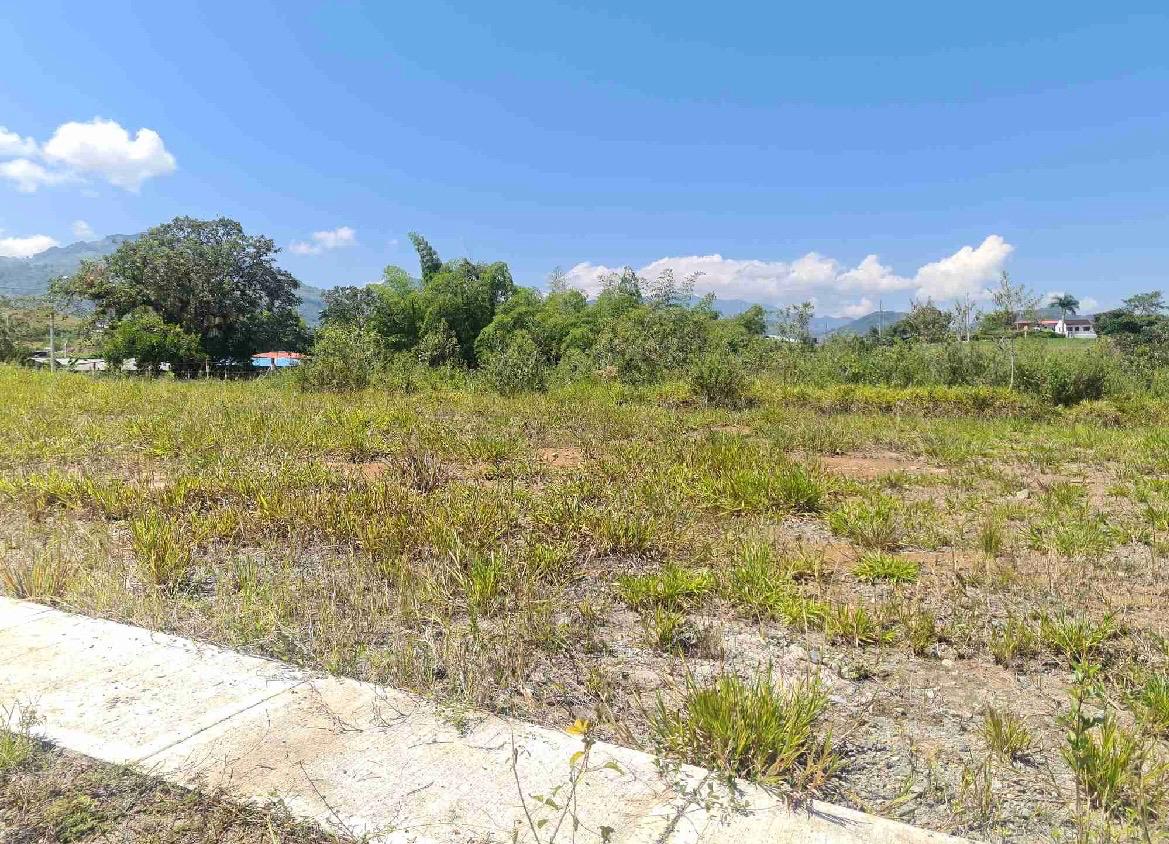 Venta de lotes campestres en Tuluá Corregimiento de La Iberia Valle del Cauca - Imagen 17