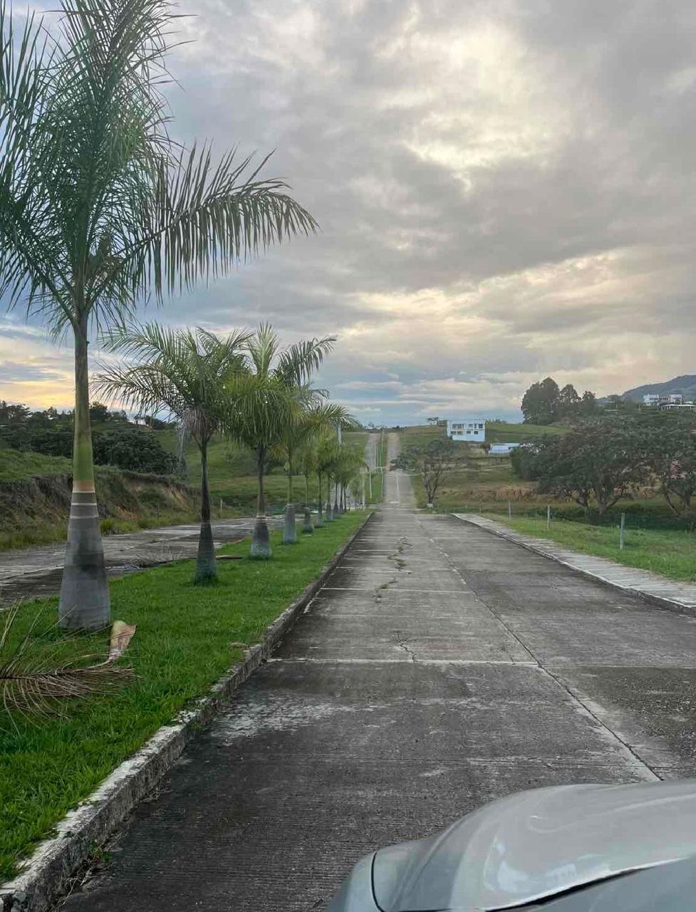 Venta de lotes campestres en Tuluá Corregimiento de La Iberia Valle del Cauca - Imagen 18