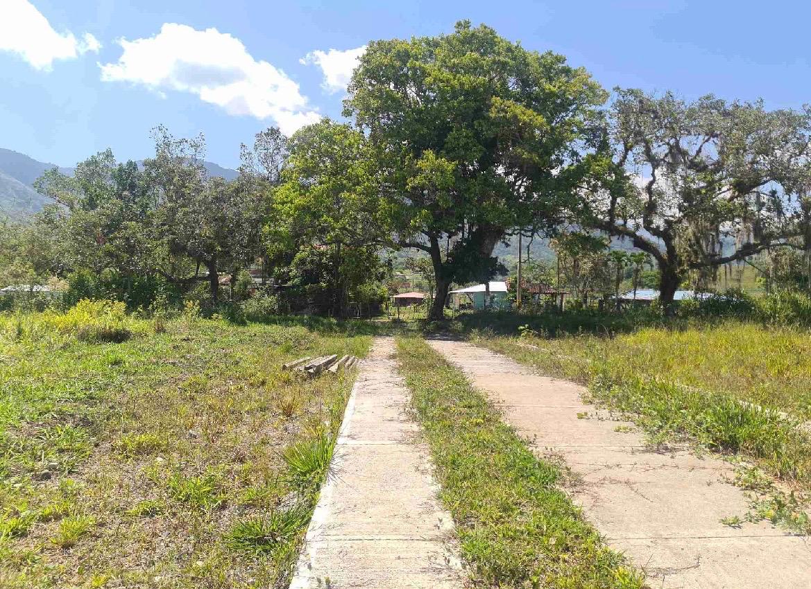 Venta de lotes campestres en Tuluá Corregimiento de La Iberia Valle del Cauca - Imagen 4