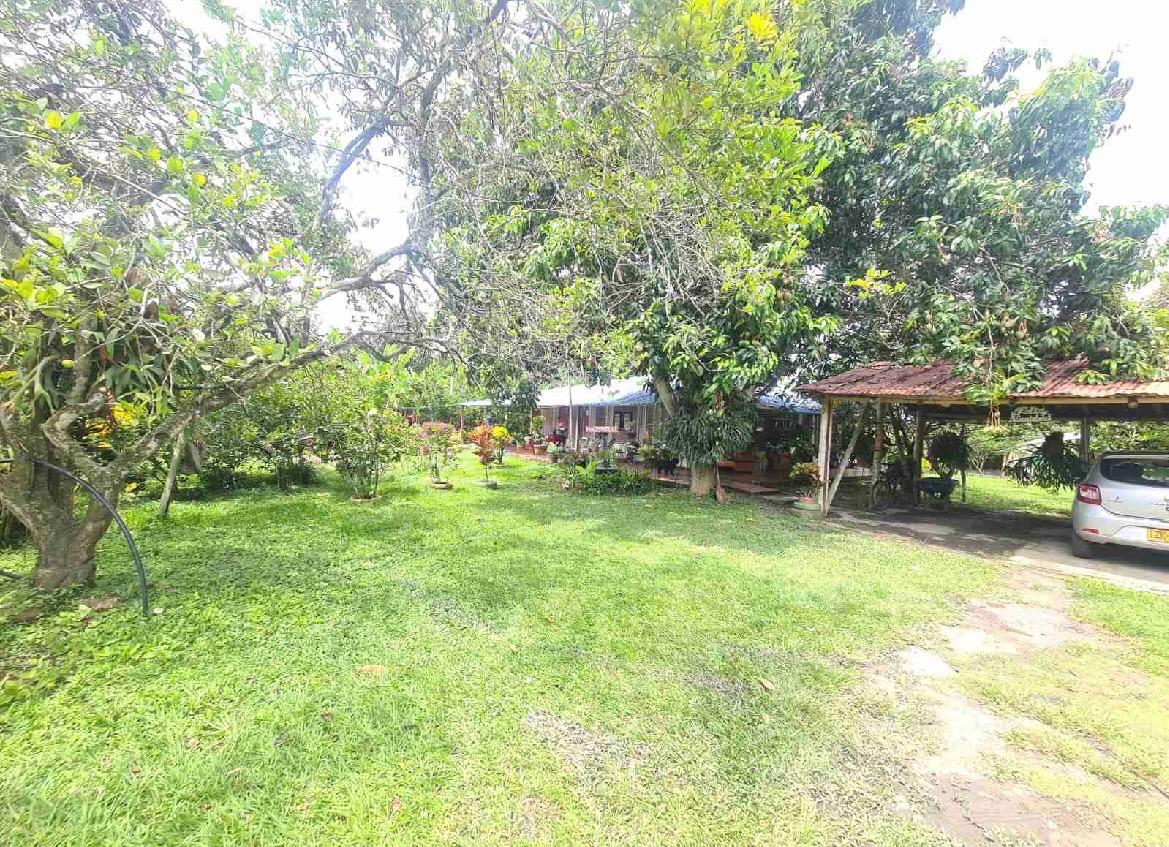 venta de casa campestre en Andalucia Valle corregimiento de El Salto - Imagen 11
