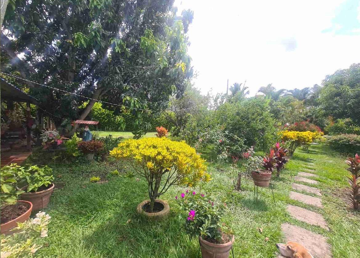 venta de casa campestre en Andalucia Valle corregimiento de El Salto - Imagen 24
