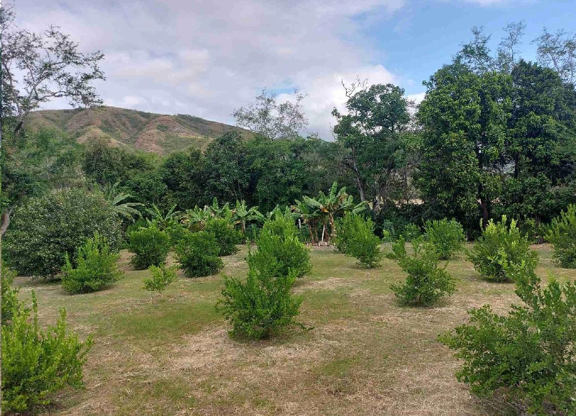 venta de lote en huasano valle - Imagen 19